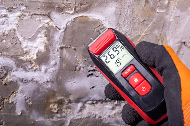 Trusted Oaklyn, NJ Mold Removal Experts