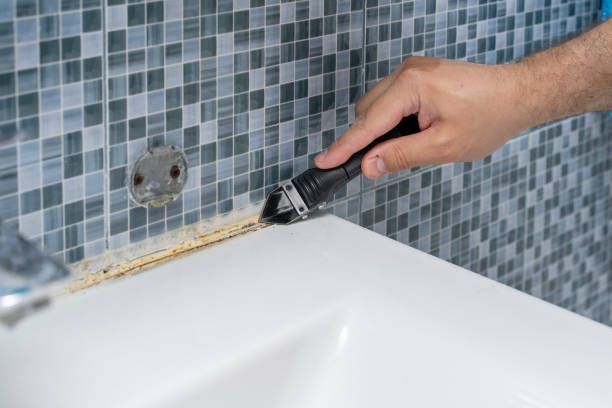 Best Black Mold Removal  in Oaklyn, NJ