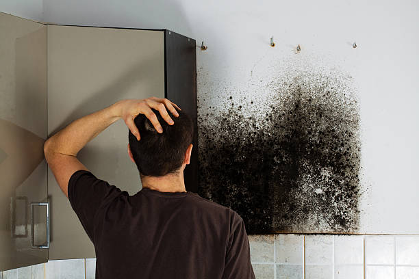 Best Emergency Mold Removal  in Oaklyn, NJ